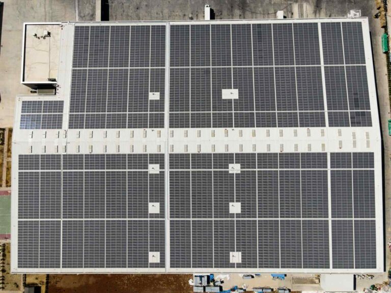 Güneş enerjisiyle 1,7 milyon ağaç eşdeğer