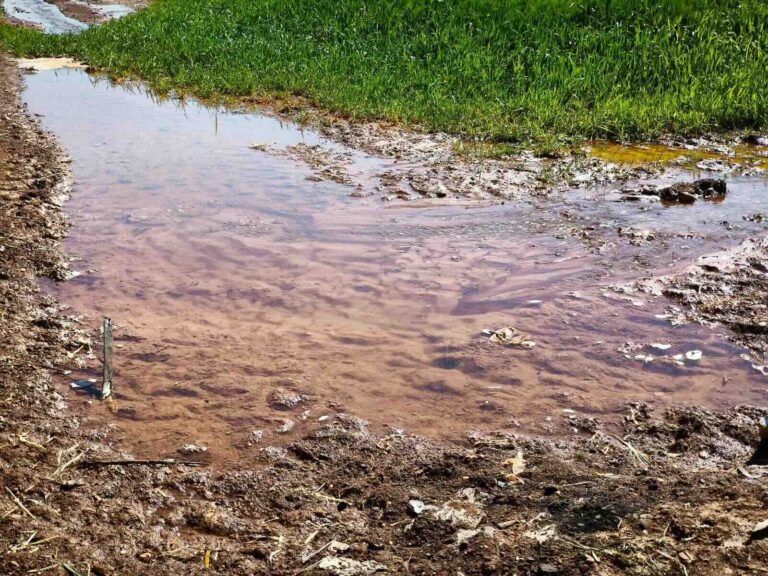Güneydoğu’da Yasağa Rağmen Kaçak Sulama Devam Ediyor